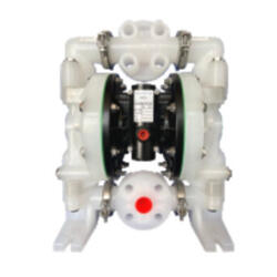 Пневматический мембранный насос GEMATECH GT2-AEN-50P